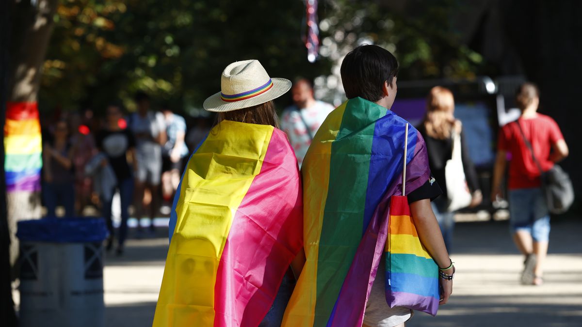 Zastánci homosexuálních sňatků se kompromisu bojí